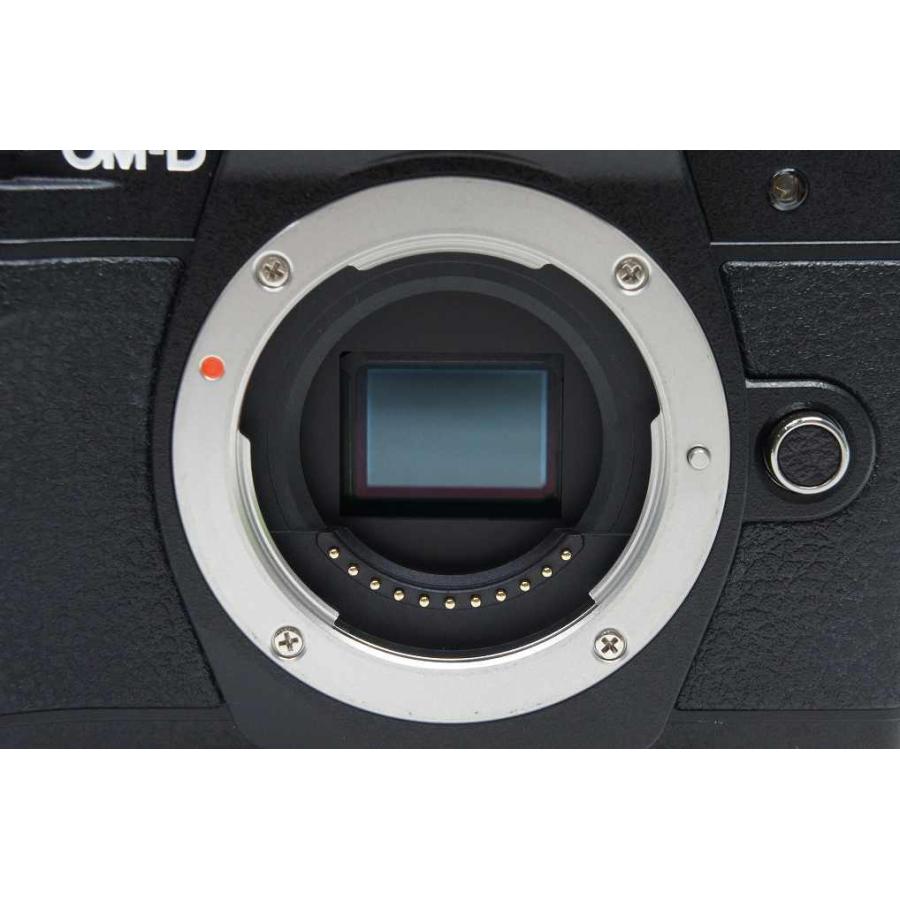 オリンパス 【適格請求書発行】美品 OLYMPUS OM-D E-M10 Mark オリンパス 【適格請求書発行】美品 OLYMPUS OM-D E-M10 Mark