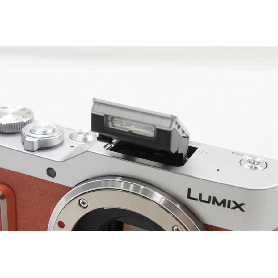 Panasonic 【適格請求書発行】美品 パナソニック LUMIX DC-GF10