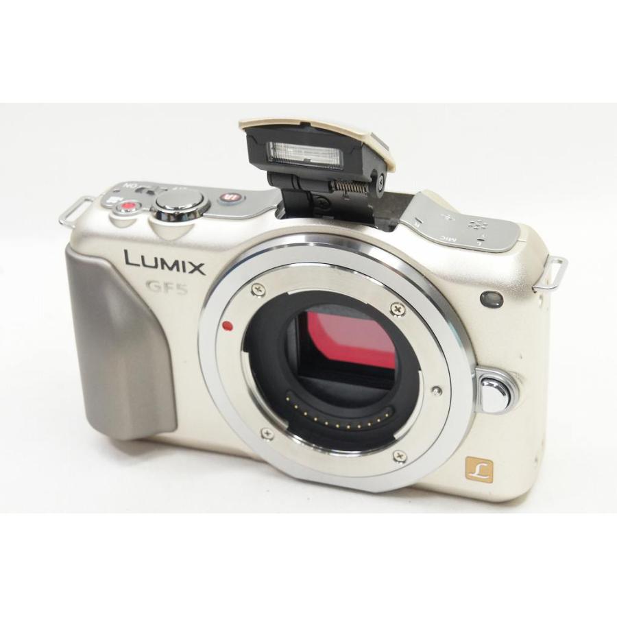 Panasonic 【適格請求書発行】良品 LUMIX DMC-GF5 ボディ ミラー