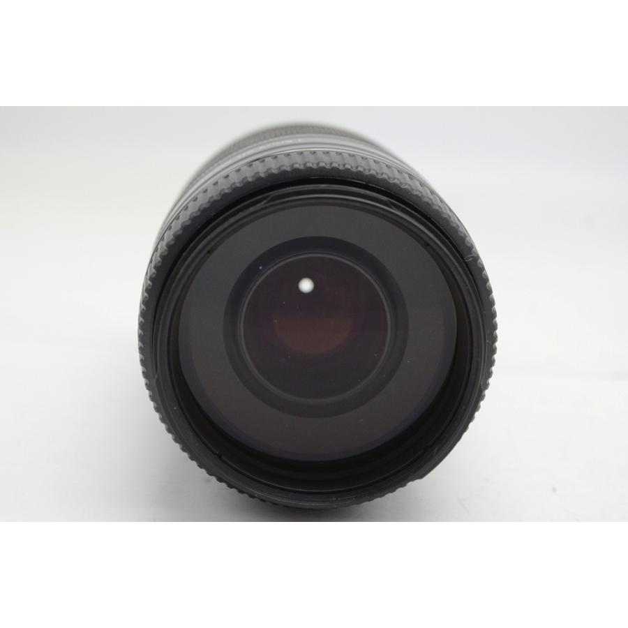 川添日記 三日月皿 生漆 葡萄絵 菓子皿 多用皿 インテリア 22cm 食器