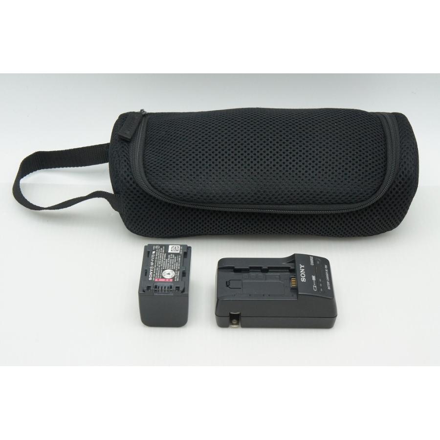 SONY（ソニー） 良品 デジタルビデオカメラ HANDYCAM HDR-CX630V