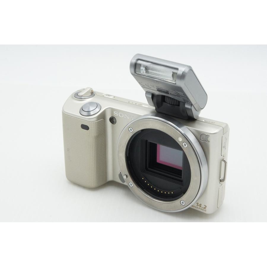 SONY（ソニー） 訳あり品 NEX-5 ボディ ミラーレス一眼カメラ ゴールド 