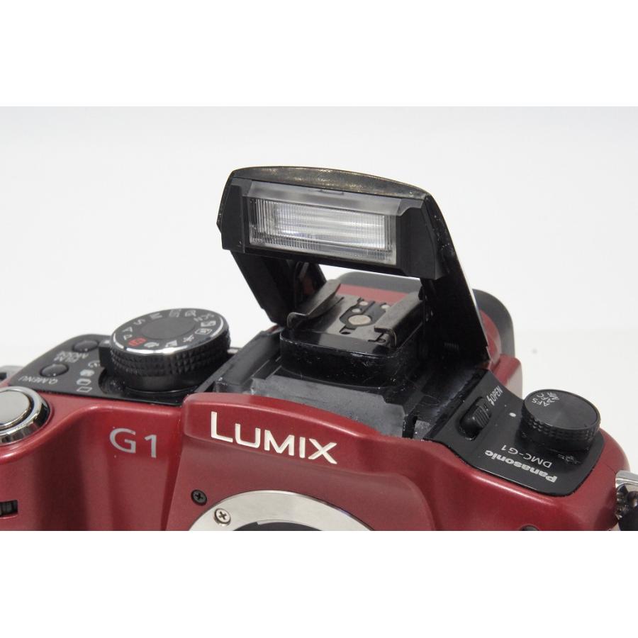 Panasonic LUMIX DMC-G1 レッド ミラーレス一眼カメラ 【公式通販】
