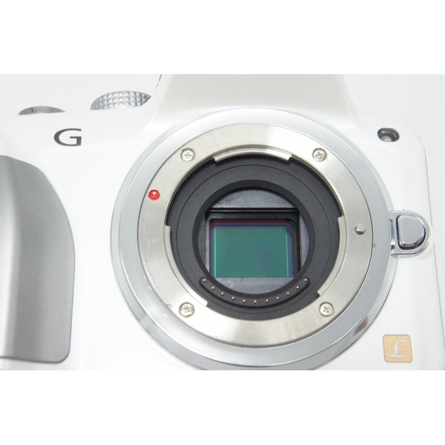 Panasonic（パナソニック） 美品 LUMIX DMC-G3 ボディ ミラーレス一眼