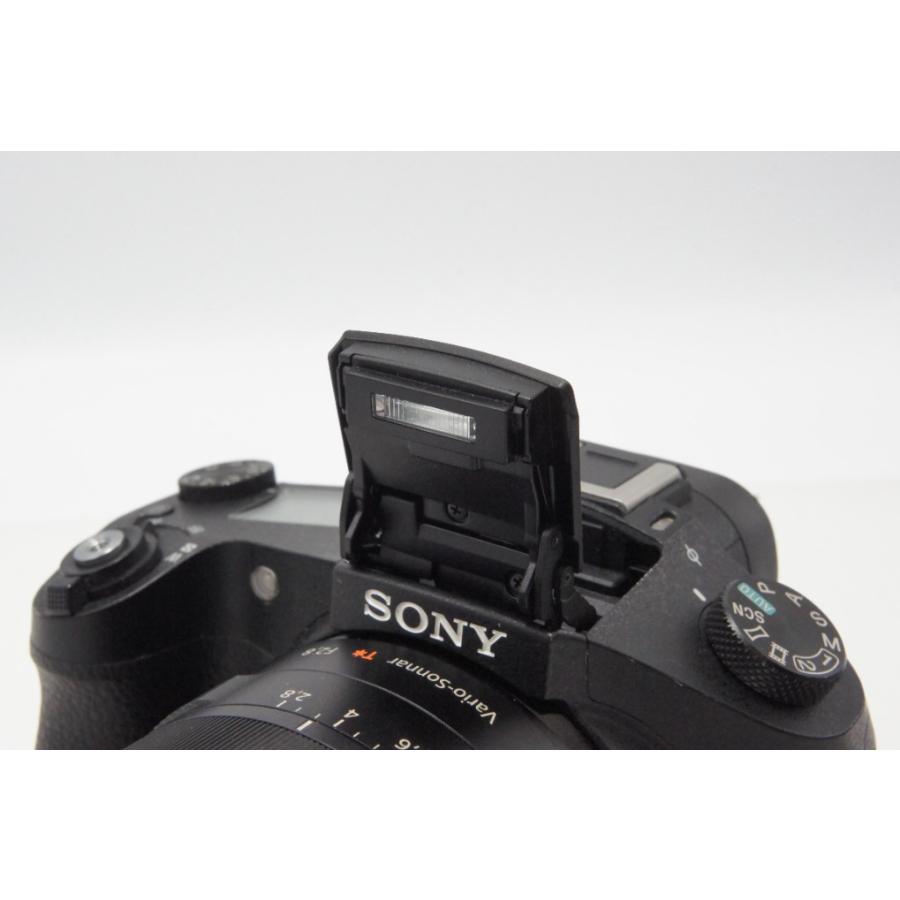 SONY（ソニー） Cyber-shot DSC-RX10 デジタルカメラ ブラック フード