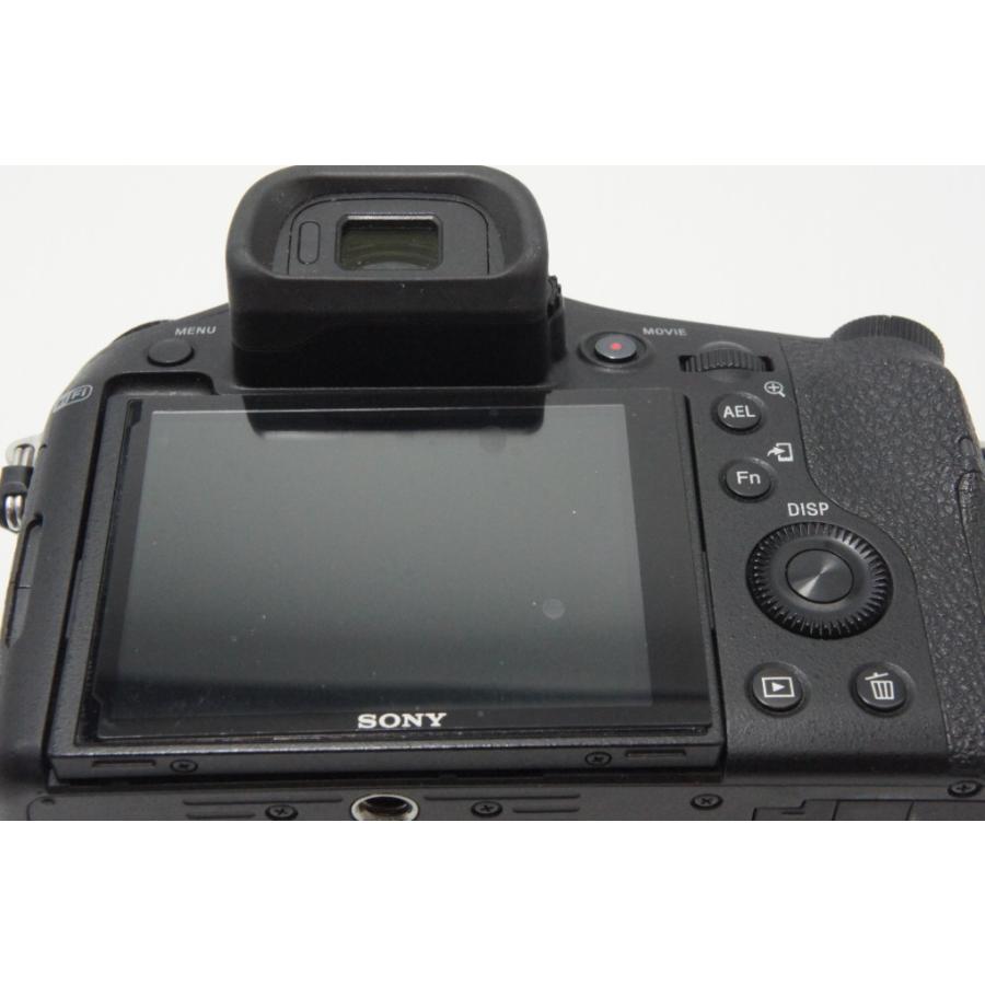 SONY（ソニー） Cyber-shot DSC-RX10 デジタルカメラ ブラック フード
