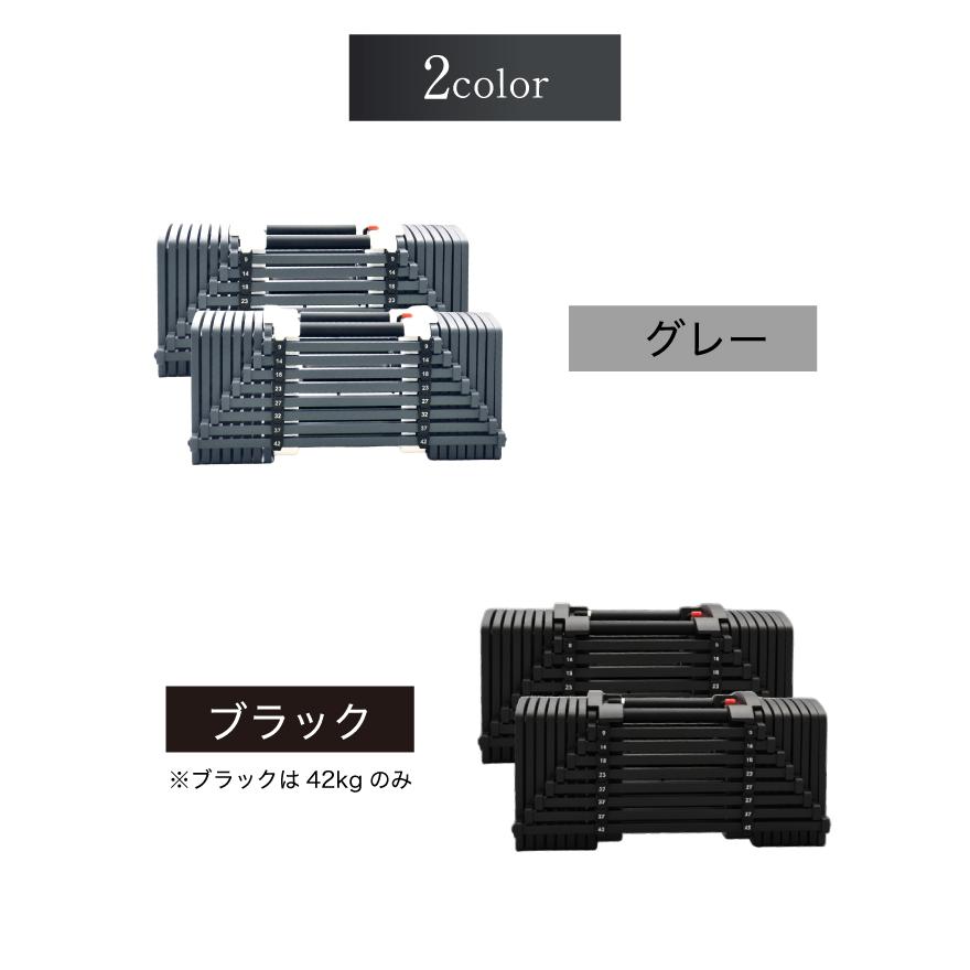 ★格安筋トレセット★ WILD FIT（ワイルドフィット） ダンベルセット 60kg アイアン / 筋トレ