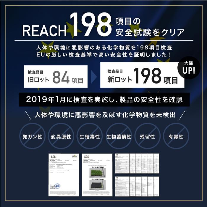 ★期間限定価格 8/11まで★ 人工芝  1mx10m 　芝丈 7mm   送料無料 防草 芝生 人工芝生 人口芝 防草シート 人工芝リアル | YouTen | 13