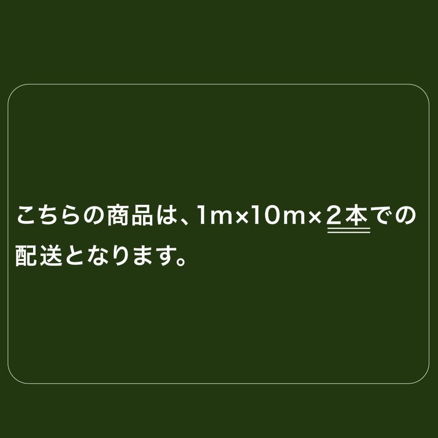 YouTen ☆期間限定価格 5/18まで☆ 人工芝 リアル人工芝 【幅2m分×長