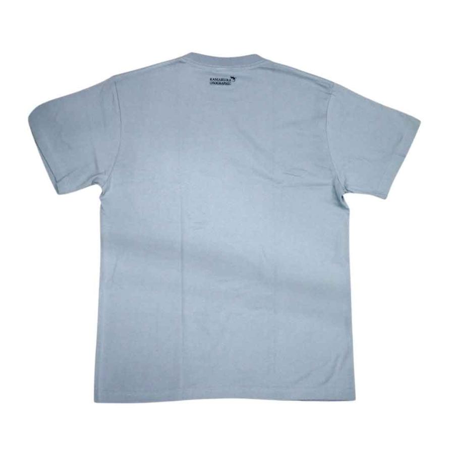 鎌倉・湘南から発信【鎌倉Tシャツ / Doldrums (ドウルデュラムズ)・サイエンスシリーズ】2026 Science Kamakura ...