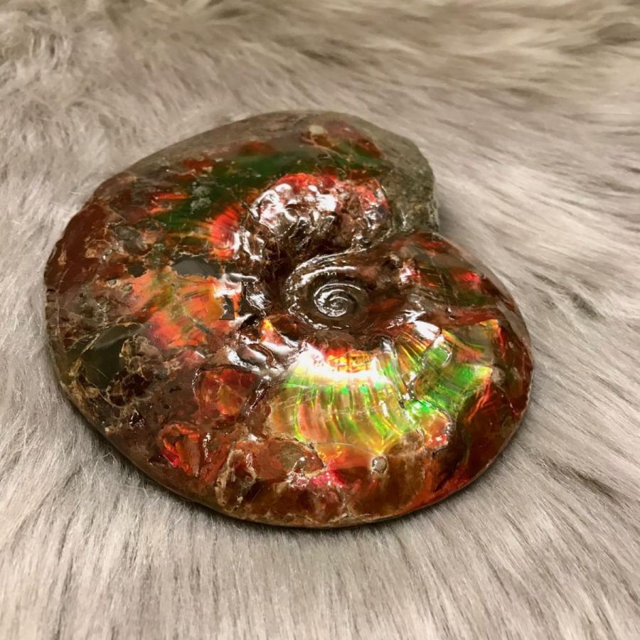 アンモライト 原石 天然アンモライト 原石 38mm 25mm
