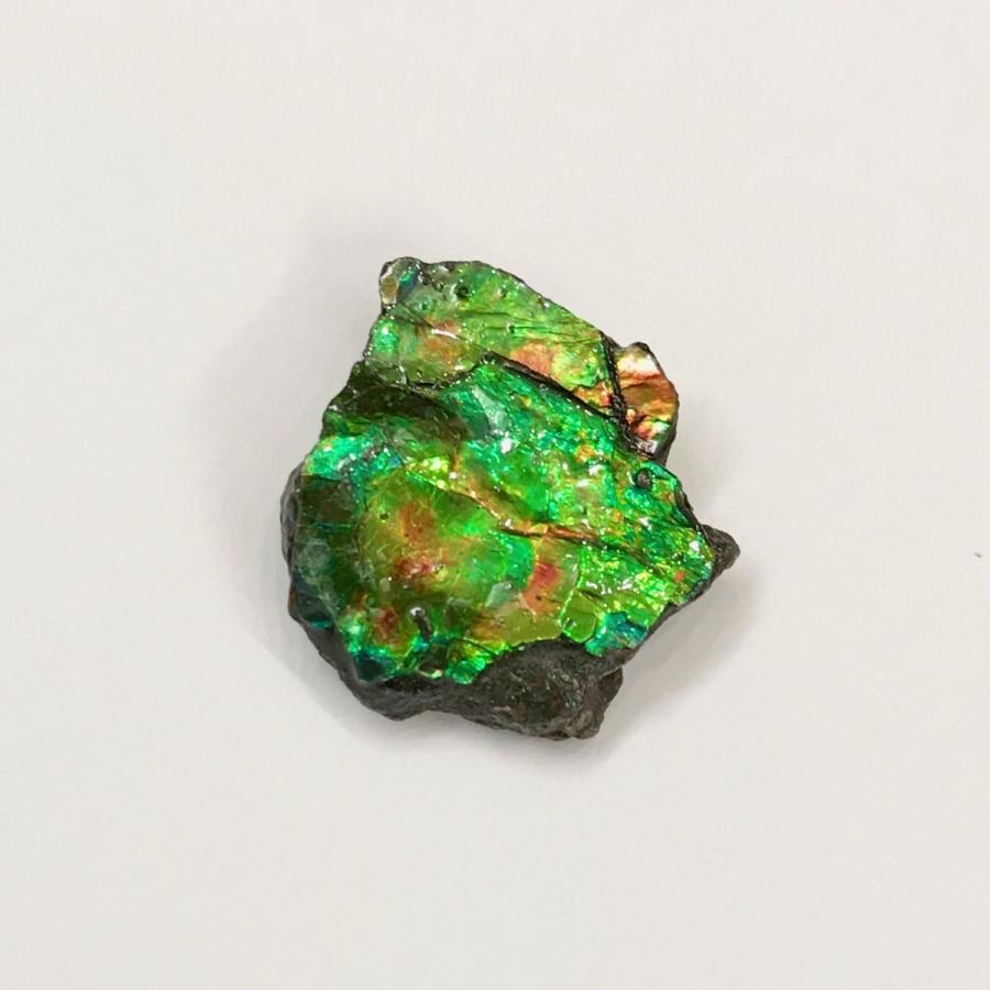 アンモライト かけら 欠片 S 標本にどうぞ パワーストーン お守り 天然石 化石 1805｜ammolite-museum