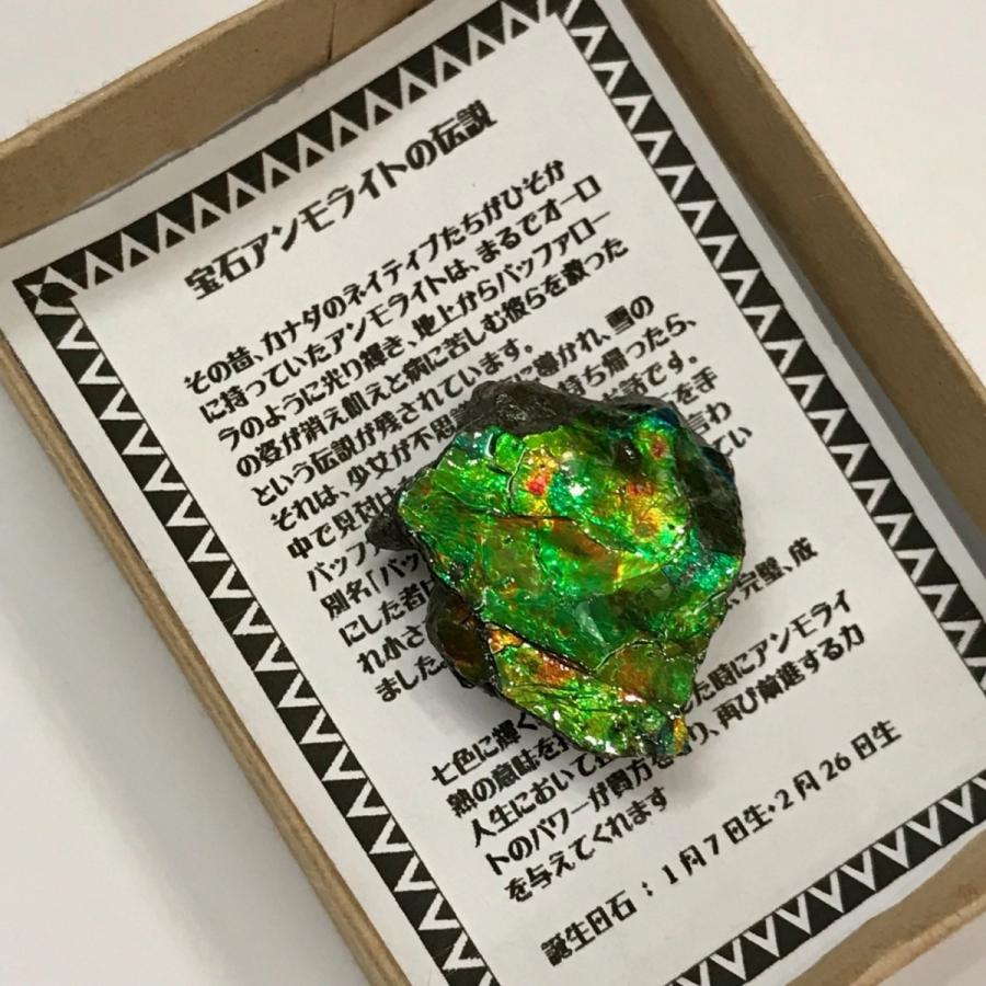 アンモライト かけら 欠片 S 標本にどうぞ パワーストーン お守り 天然石 化石 1805｜ammolite-museum｜04