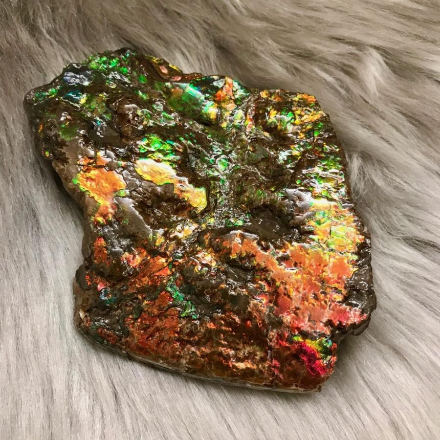 アンモライト かけら 欠片 L 標本にどうぞ パワーストーン お守り