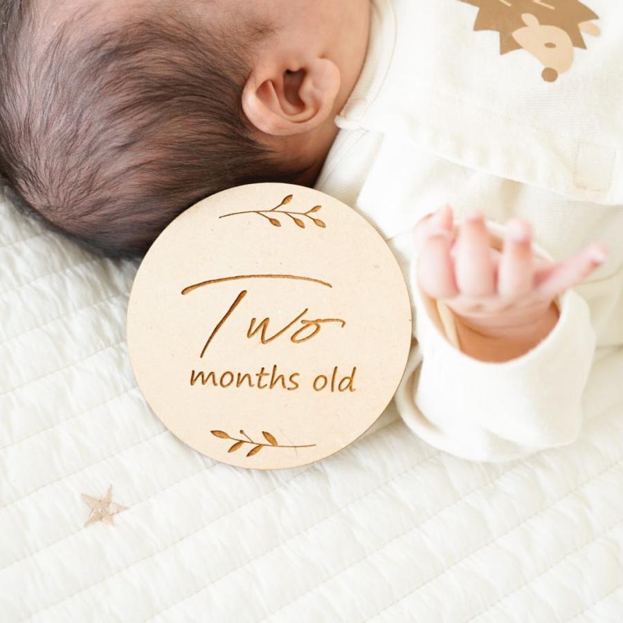 日本製造 木製 マンスリープレート 12枚セット レターバナー 出産祝い 月齢フォト ニューボーンフォト ギフト ジャストボーン woodbanner おしゃれ 月齢カード |  | 07