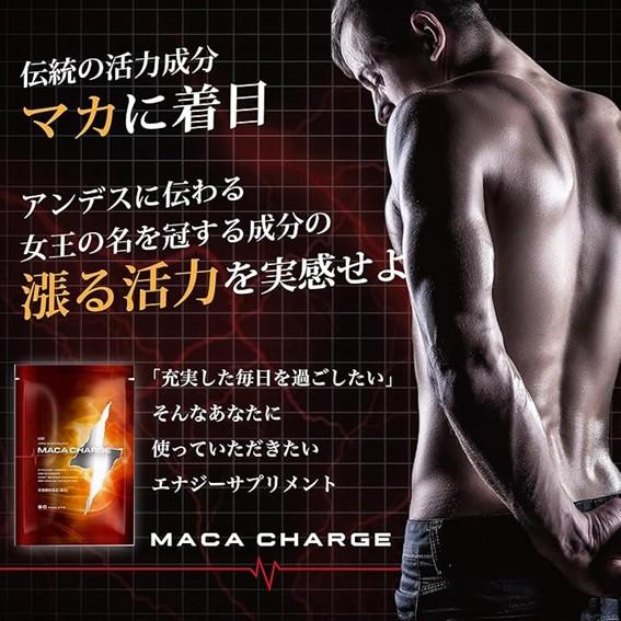 ULBO アルボ MACACHARGE 90粒 シトルリン アルギニン 亜鉛 マカ 厳選10