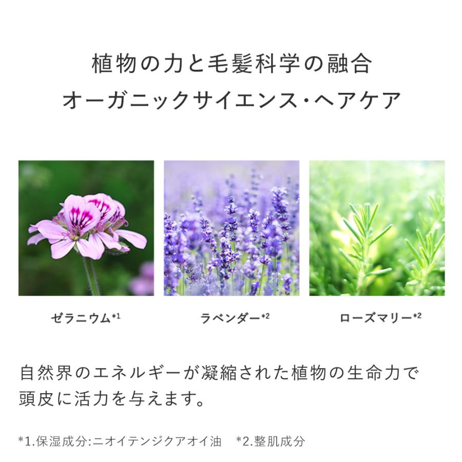 AMPLEUR（アンプルール） 5%OFF プレミアムフィト フルセット