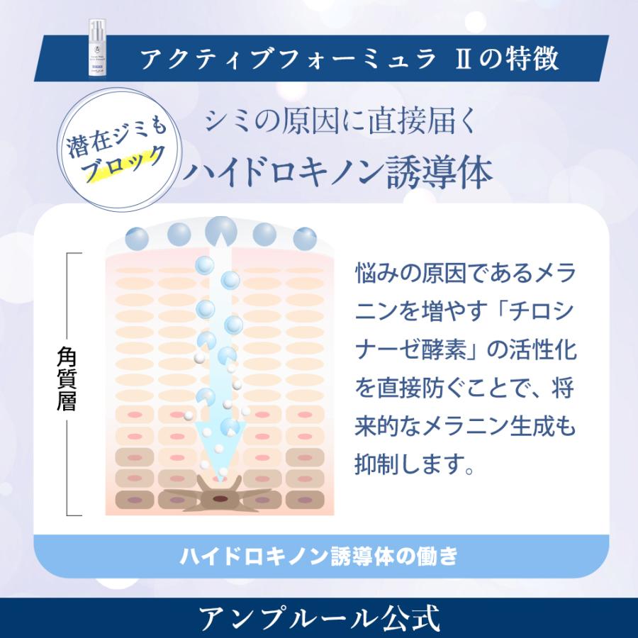 最高の 送料無料 薬用美白美容液 医薬部外品 24時間美白 シミ予防 アンプルール ラグジュアリーホワイト 薬用アクティブフォーミュラ Ii 2本セット 国内最安値 Www Thedailyspud Com