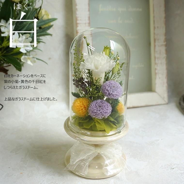 初盆 新盆 仏花 対デザイン セット 輪菊 ガラス ドーム プリザーブドフラワー お供え花 仏壇用 ブリザードフラワー 法事 供花 お彼岸 法要 ガラスドーム対|ampoule-shop|04