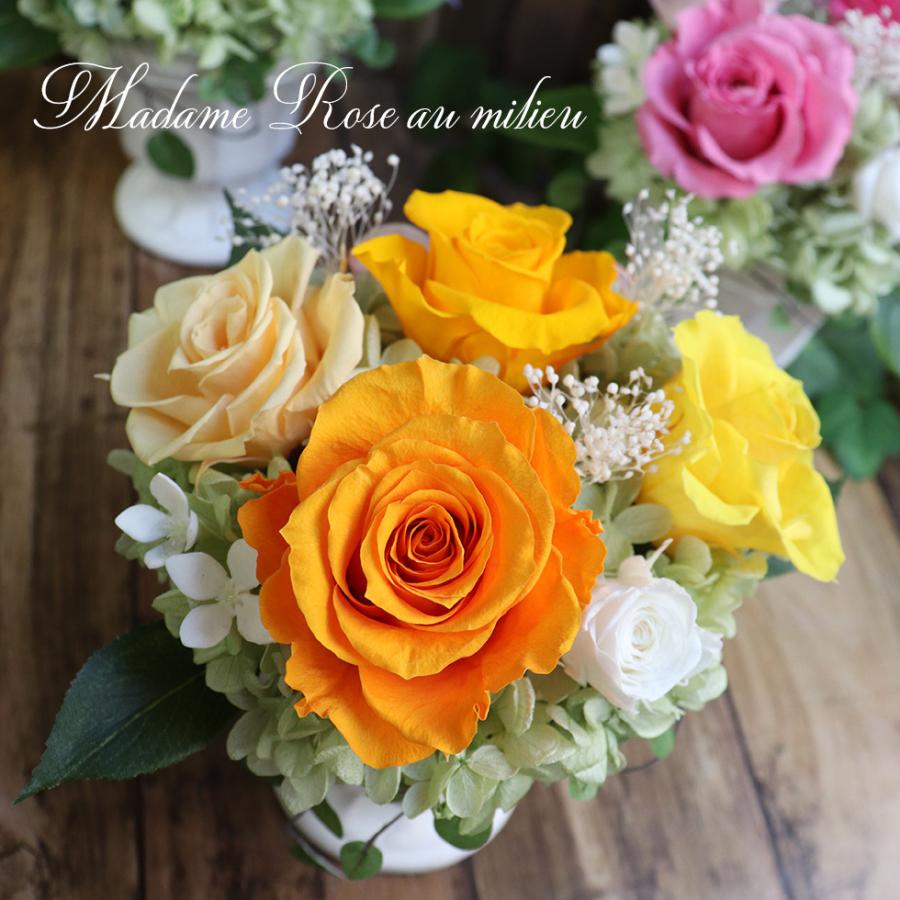 母の日 ランキング 新築祝い 誕生日プレゼント 送別会 プレゼント 女性 男性 送別 退職祝い プレゼント 60代 定年 定年退職 マダムローズミリュー P 花ギフト 贈り物 アンプール 通販 Yahoo ショッピング