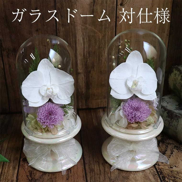日本最大級 初盆 命日 お供え 花 一対 胡蝶蘭 ガラスドーム 初盆 お供え物 お供え お悔やみ お供え プリザーブドフラワー ガラス ドーム ポット ケース 仏花 P B 花ギフト 贈り物 アンプール 通販 Yahoo ショッピング 50 Off M Mahdi Net
