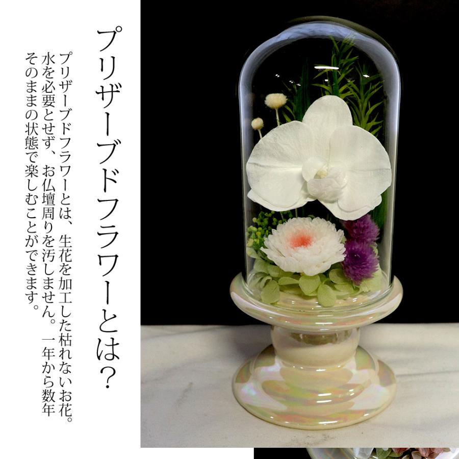 ガラスドーム 仏花 喪中見舞い 初盆 命日 お供え お盆 花 プリザーブド