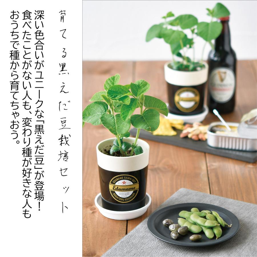 栽培キット 栽培セット えだまめ 枝豆 種 家庭菜園 キッチン 栽培 父の