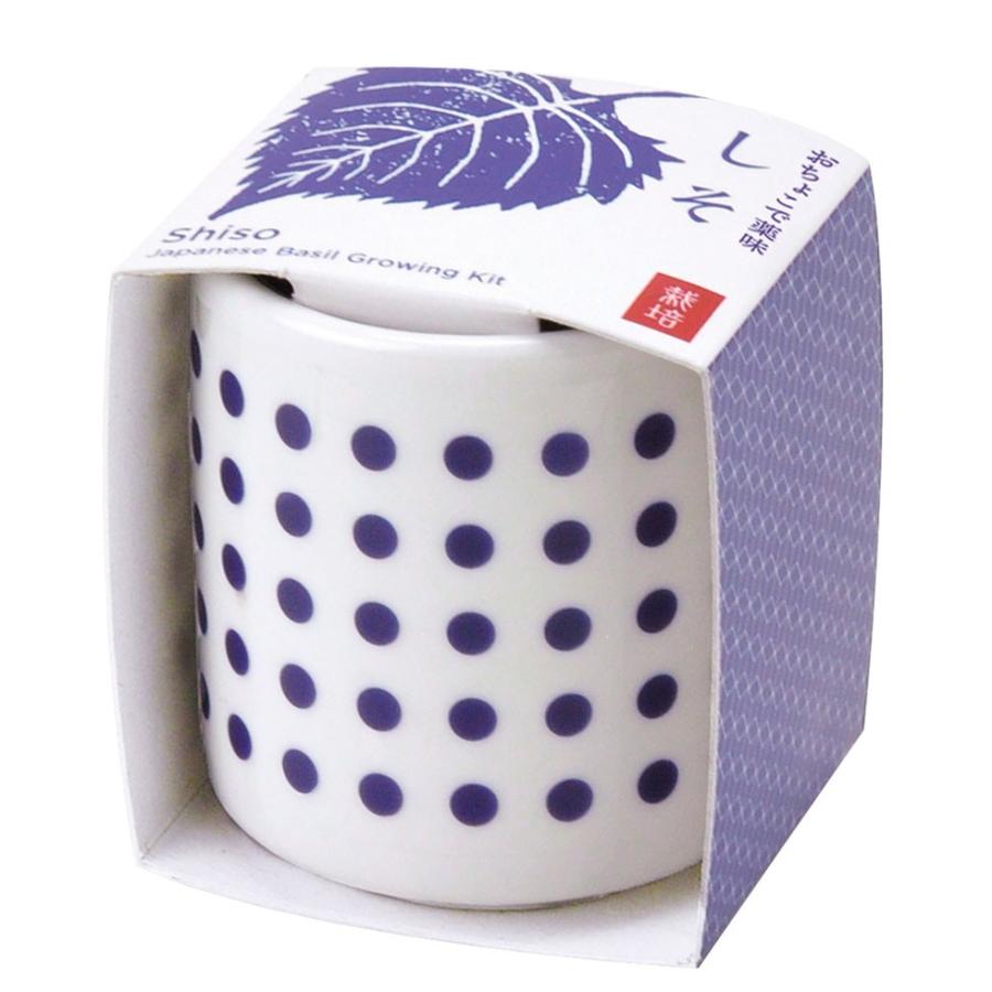 栽培キット 栽培セット 薬味 種 三つ葉 しそ 種 ヤクミ 家庭菜園 キッチン 栽培 敬老の日 プレゼント おしゃれ かわいい おちょこで薬味栽培セット P00530 花ギフト 贈り物 アンプール 通販 Yahoo ショッピング