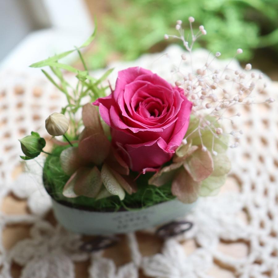 はりねずみ ぬいぐるみ 花 セット かわいい プリザーブドフラワー 誕生日 プレゼント ギフト 癒しグッズ プレゼント ハリネズミ グッズ ハリーのおさんぽ P 花ギフト 贈り物 アンプール 通販 Yahoo ショッピング