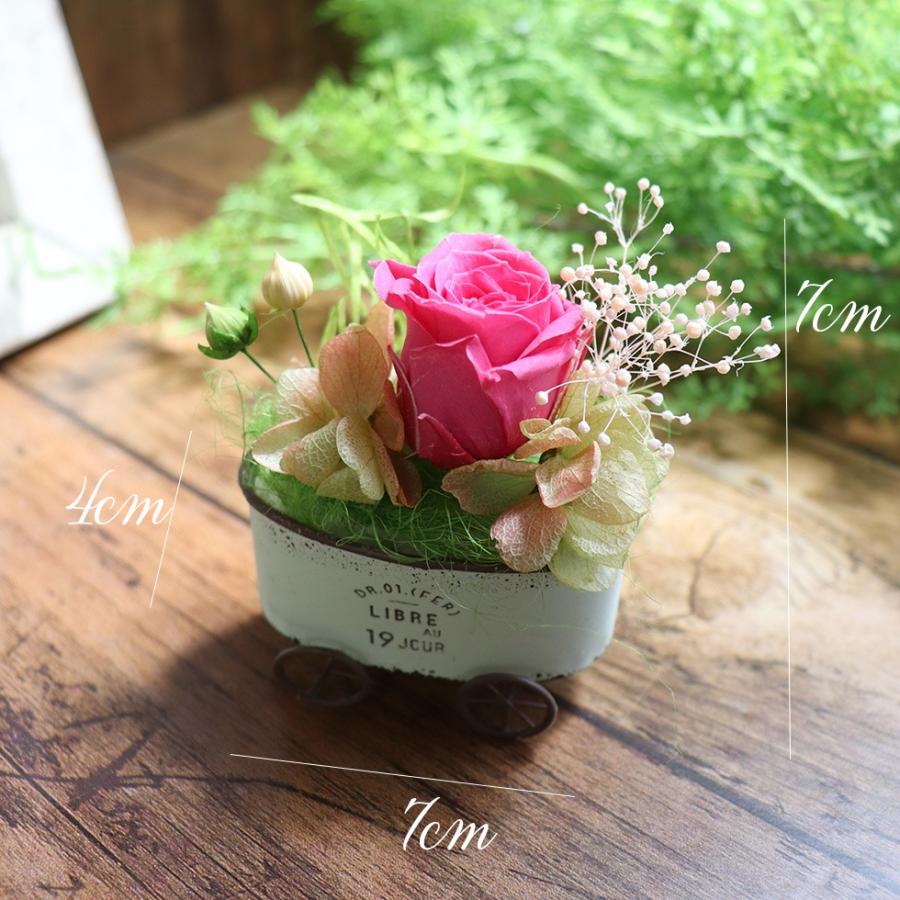 はりねずみ ぬいぐるみ 花 セット かわいい プリザーブドフラワー 誕生日 プレゼント ギフト 癒しグッズ プレゼント ハリネズミ グッズ ハリーのおさんぽ P 花ギフト 贈り物 アンプール 通販 Yahoo ショッピング