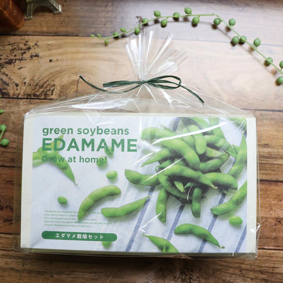えだまめ 栽培キット プランダー 枝豆 種 栽培キット 栽培セット 家庭菜園 キッチン 栽培 母の日プレゼント 誕生日 プレゼント 贈り物 22 P 花ギフト 贈り物 アンプール 通販 Yahoo ショッピング