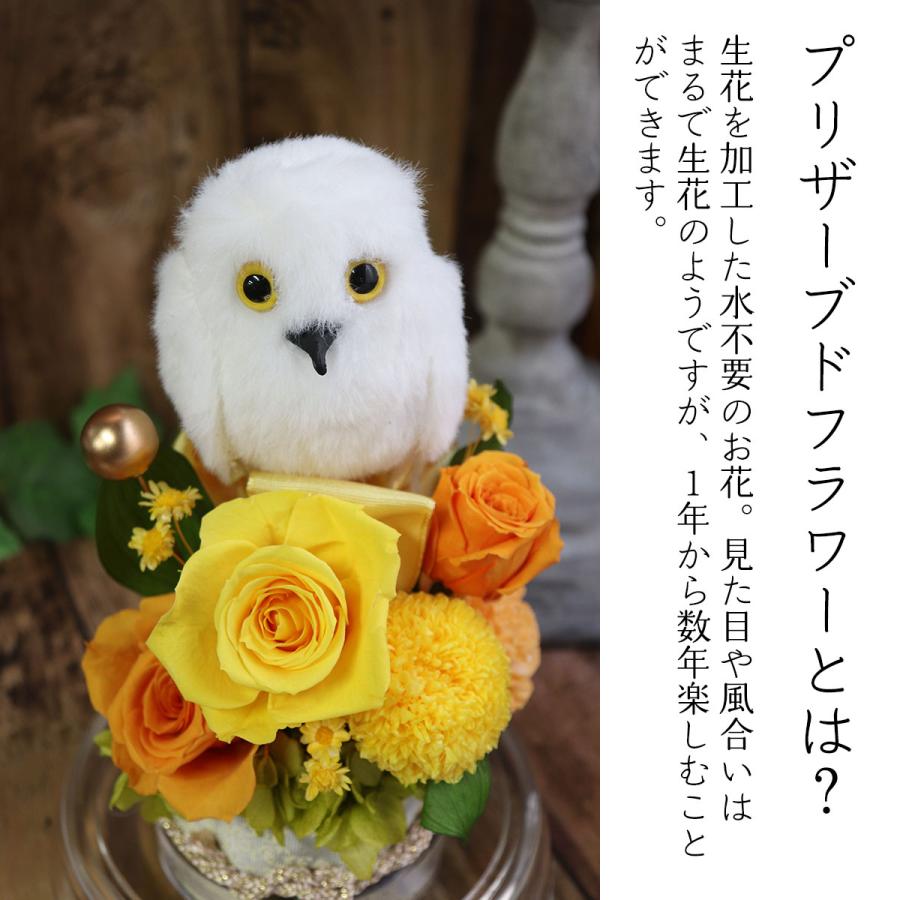 米寿祝い プリザーブドフラワー ドーム 米寿のお祝い 傘寿 祝い 花