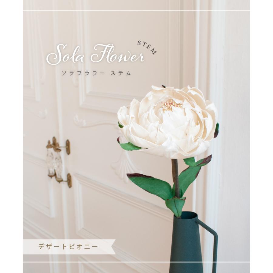 インテリア 花 造花 おしゃれ 高級 ピオニー ソラフラワー ディフューザー ルームフレグランス 玄関 オフホワイト 白 芍薬 花材 Sola Flower デザートピオニー 240 11 069 おしゃれ照明のampoule 通販 Yahoo ショッピング