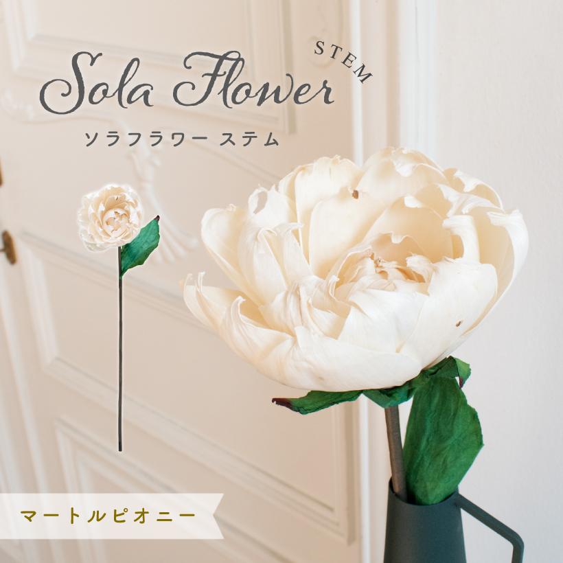 インテリア 花 造花 おしゃれ 高級 ソラフラワー ピオニー ディフューザー ルームフレグランス 芍薬 オフホワイト 白 Sola Flower マートルピオニー 240 11 070 240 11 070 おしゃれ照明のampoule 通販 Yahoo ショッピング
