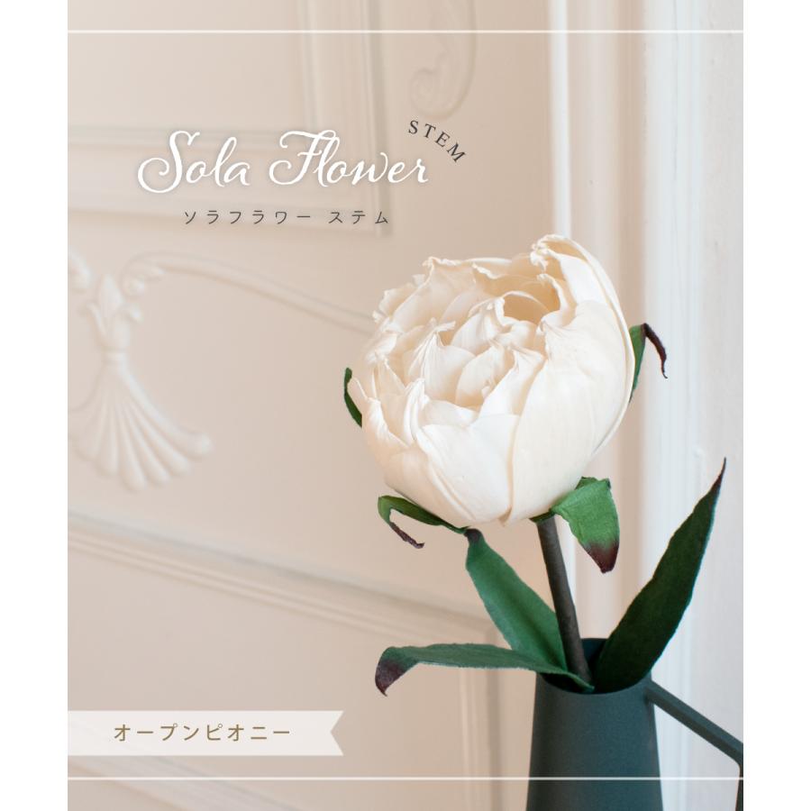 花 造花 おしゃれ 高級 ソラフラワー ディフューザー ピオニー ルームフレグランス 芍薬 アロマ オフホワイト 白 Sola Flower オープンピオニー M 240 12 004 240 12 004 おしゃれ照明のampoule 通販 Yahoo ショッピング
