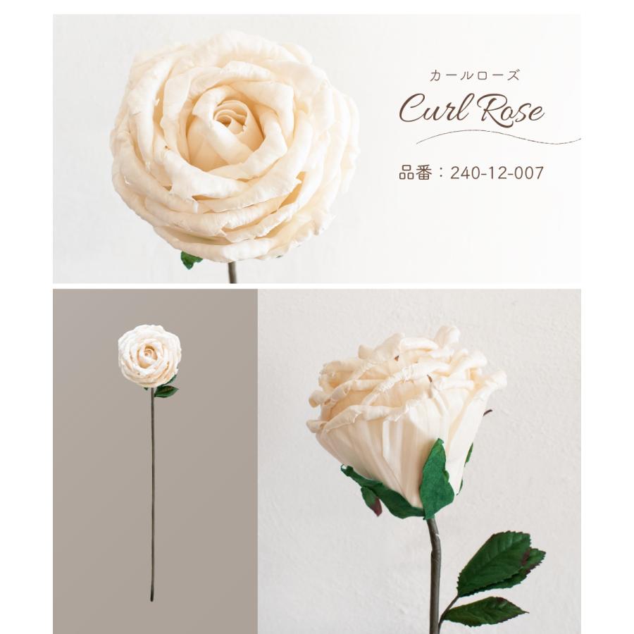 造花 おしゃれ バラ 高級 ソラフラワー 玄関 花 薔薇 ディフューザー ルームフレグランス アロマ オフホワイト 白 Sola Flower カールローズ M 1本 240 12 007 240 12 007 おしゃれ照明のampoule 通販 Yahoo ショッピング