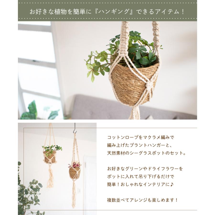 ハンギングプランター プラントハンガー ハンギング おしゃれ
