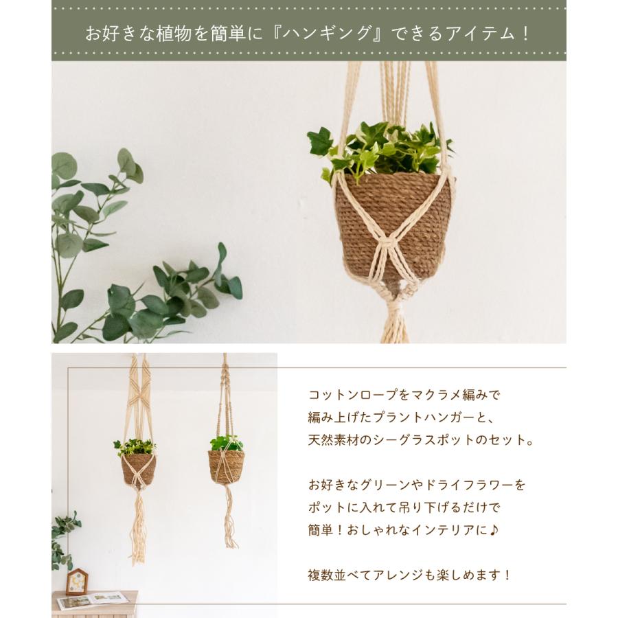 ハンギングプランター プラントハンガー ハンギング おしゃれ ナチュラル 吊り下げ 観葉植物 植物 インテリア雑貨 可愛い グリーン クレエ 91 0008 91 0008 おしゃれ照明のampoule 通販 Yahoo ショッピング