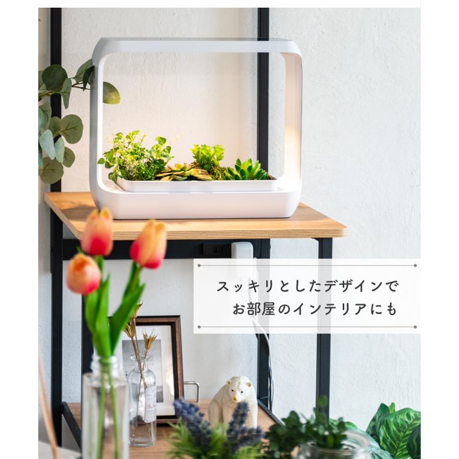 植物育成ledライト 育成ライト 植物ライト 植物 Led 観葉植物 多肉植物 野菜 プランター 一体型 タイマー機能 サイクルタイマー 無段階調光 室内栽培ランプ Amp おしゃれ照明のampoule 通販 Yahoo ショッピング