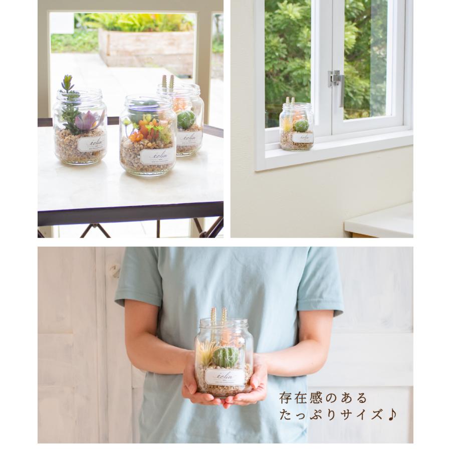 フェイクグリーン おしゃれ サボテン コケ 多肉植物 寄せ植え リビング 玄関 トイレ 防汚 抗菌 鉢植え ギフト エクリア 消臭アーティフィシャルグリーン Amp Amp Amp Amp おしゃれ照明のampoule 通販 Yahoo ショッピング