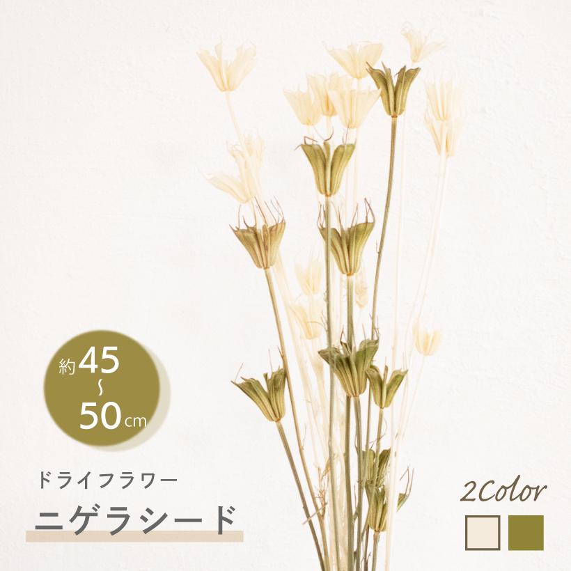 ドライフラワー スワッグ ブーケ レジン 花材 ニゲラ ニゲラシード ガーランド 緑 グリーン 白 ホワイト インテリア 花束 雑貨 自然素材 おしゃれ 花 An An おしゃれ照明のampoule 通販 Yahoo ショッピング