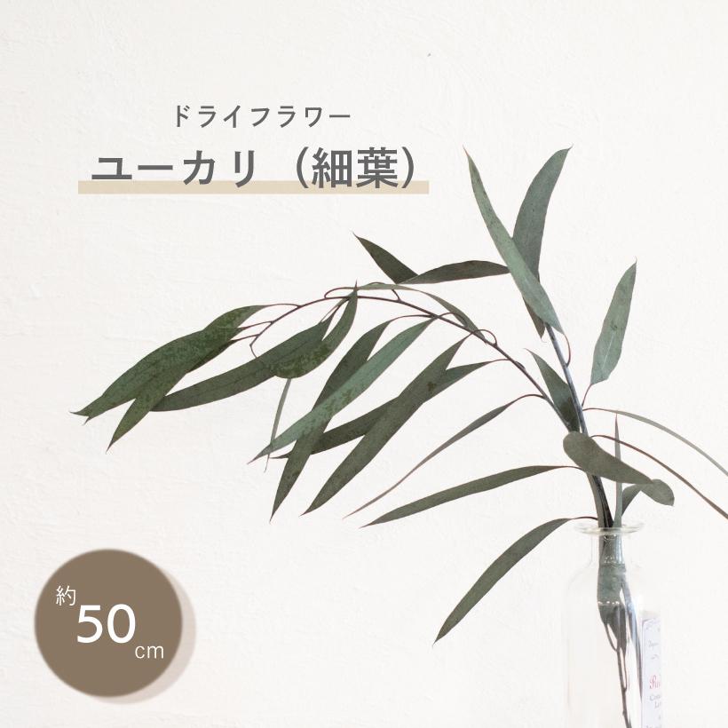 ドライフラワー スワッグ 花材 ユーカリ ガーランド 緑 グリーン インテリア おしゃれ 花 ナチュラル 雑貨 自然素材 An 051a An 051a おしゃれ照明のampoule 通販 Yahoo ショッピング