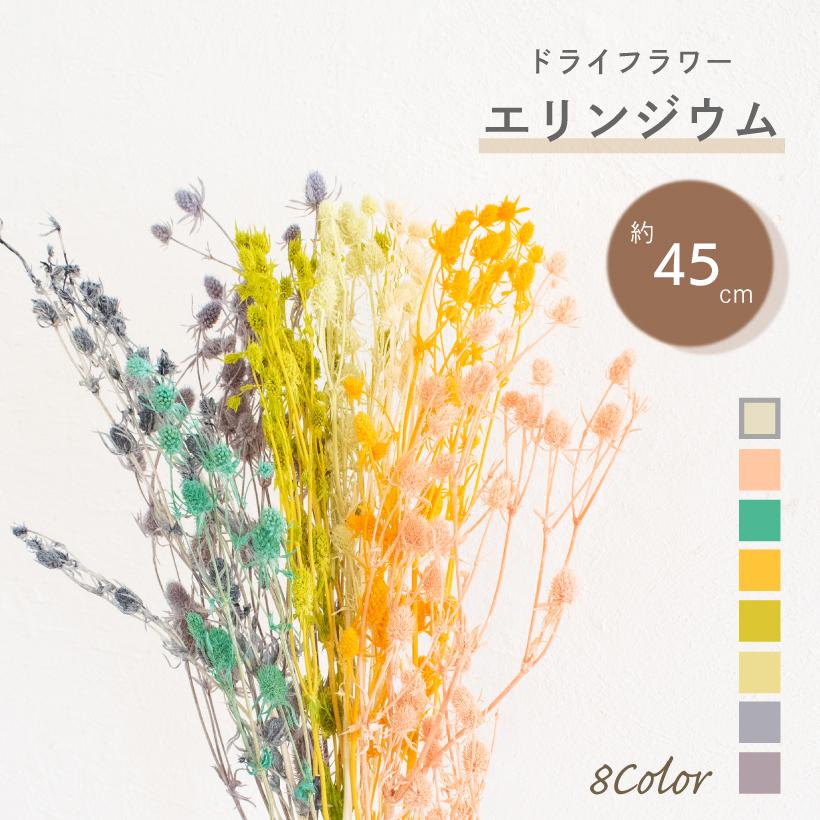 ドライフラワー スワッグ 花材 エリンジウム エリンジューム ピンク 青 ブルー 緑 オレンジ グレー 白 ホワイト インテリア おしゃれ 花 ナチュラル An An おしゃれ照明のampoule 通販 Yahoo ショッピング