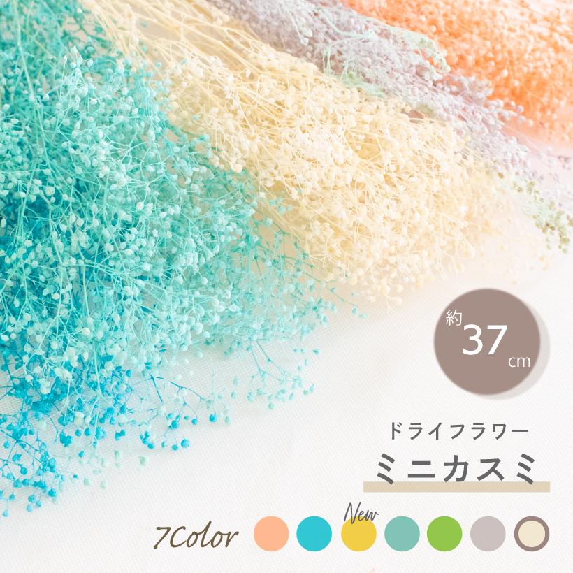 ドライフラワー スワッグ 花材 かすみ草 カスミソウ ガーランド ピンク 白 黄色 青 水色 緑 黄緑 紫 ホワイト ブルー インテリア おしゃれ 花 An An おしゃれ照明のampoule 通販 Yahoo ショッピング