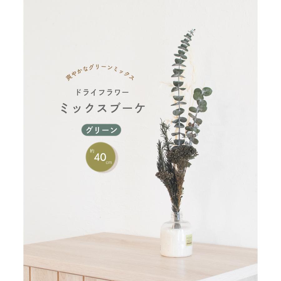 ドライフラワー スワッグ 花材 おしゃれ ナチュラル ユーカリ 緑 グリーン 白 ホワイト 雑貨 インテリア 自然 プリザーブド 花 壁飾り ミニ An001 An001 おしゃれ照明のampoule 通販 Yahoo ショッピング