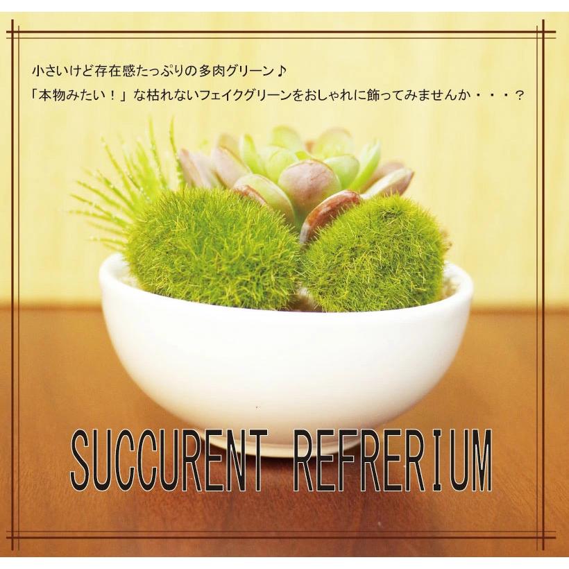 キシマ（KISHIMA） フェイクグリーン おしゃれ 人工観葉植物 ミニ 苔