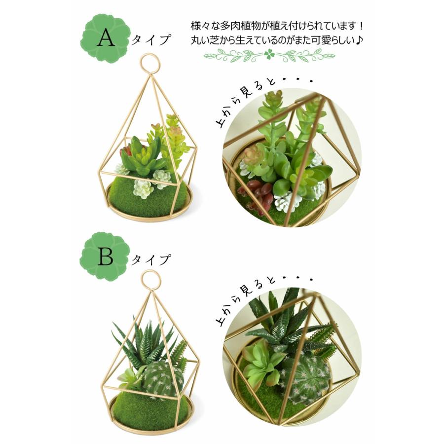 くらしを楽しむアイテム 人工観葉植物 多肉植物 寄せ植え おしゃれ フェイクグリーン 苔玉 ミニ サボテン インテリア 玄関 トイレ 造花 消臭 防汚 抗菌 Ct触媒 カフェ Eclia エクリア Swsj Org