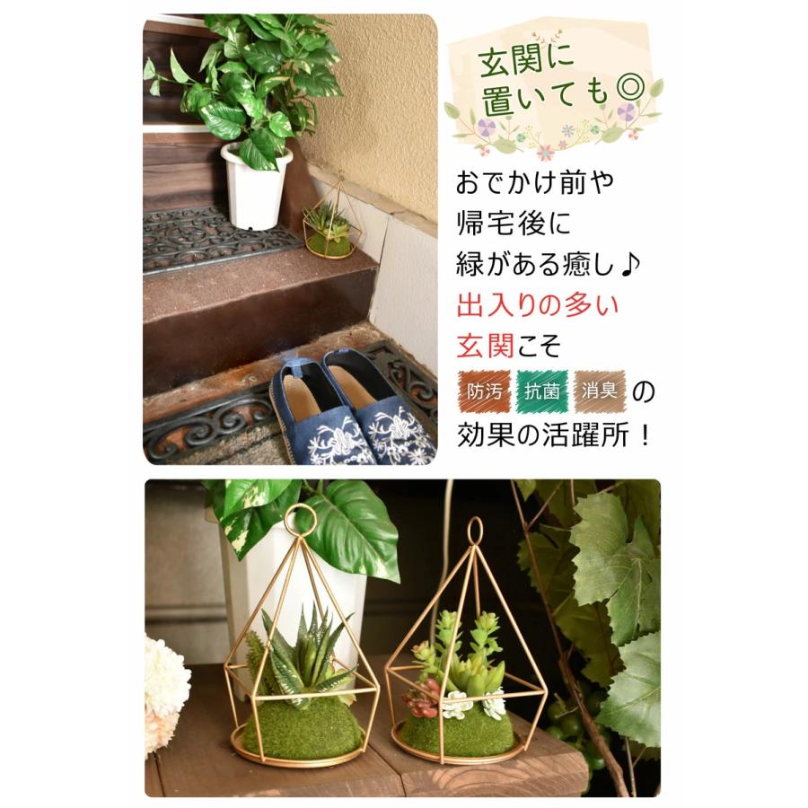 くらしを楽しむアイテム 人工観葉植物 多肉植物 寄せ植え おしゃれ フェイクグリーン 苔玉 ミニ サボテン インテリア 玄関 トイレ 造花 消臭 防汚 抗菌 Ct触媒 カフェ Eclia エクリア Swsj Org