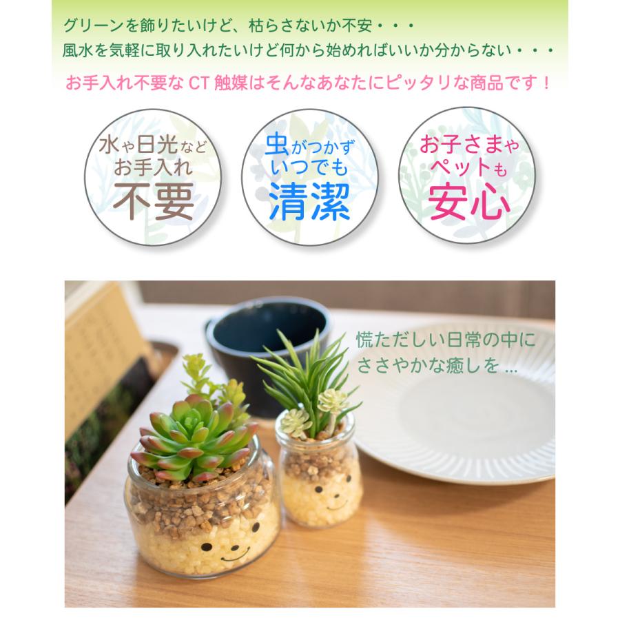フェイクグリーン 多肉植物 サボテン 風水 人工観葉植物 造花 消臭アーティフィシャルグリーン おしゃれ 玄関 キッチン Ct触媒 ギフト Famille ファミーユ L Kh おしゃれ照明のampoule 通販 Yahoo ショッピング