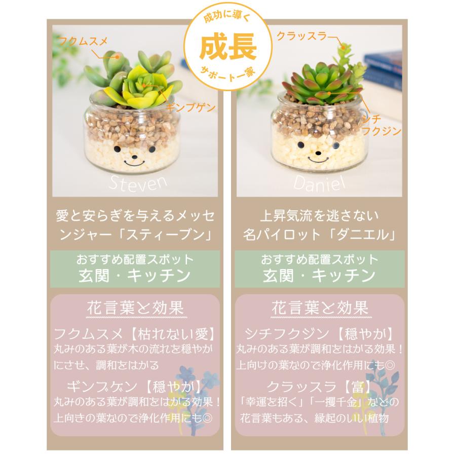 フェイクグリーン 多肉植物 サボテン 風水 人工観葉植物 造花 消臭アーティフィシャルグリーン おしゃれ 玄関 キッチン CT触媒 ギフト Famille ファミーユ L｜ampoule｜07